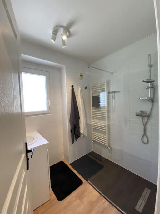 Magnifique Appart Renove Evian Duplex Vue Lac 8 Pers Dış mekan fotoğraf